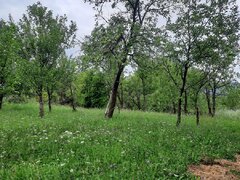 Breaza, Prahova, teren intravilan, 5000 mp