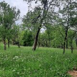 Breaza, Prahova, teren intravilan, 5000 mp